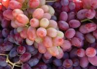 Propiedades nutricionales de las uvas