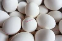 Qué significa el marcado de los huevos
