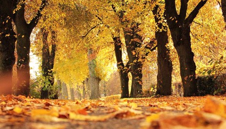 Otoño