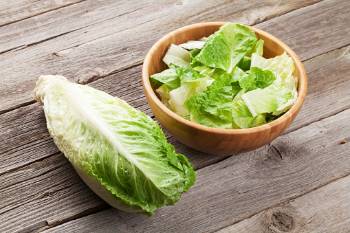 lechuga