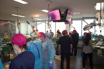 Curso Técnicas complejas en implantología: manejo de tejidos blandos e injertos óseos